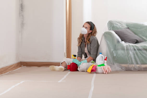 Reliable Hvac And Air Duct Mold Remediation contractor in Amityville, NY by 24 Hour Mold Removal